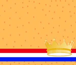 27/04 | BRINGOdrive op Koningsdag. Schrijf je in!
